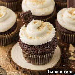 Close up photo of S'mores Cupcakes