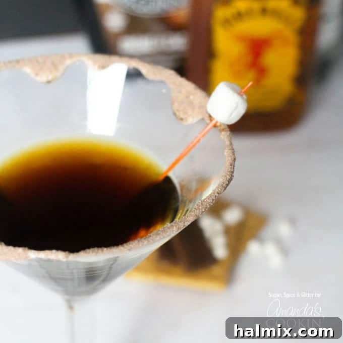 Toasted Smores Martini 3 Close-up of a perfectly crafted S'mores Martini, garnished with a marshmallow and chocolate rim.