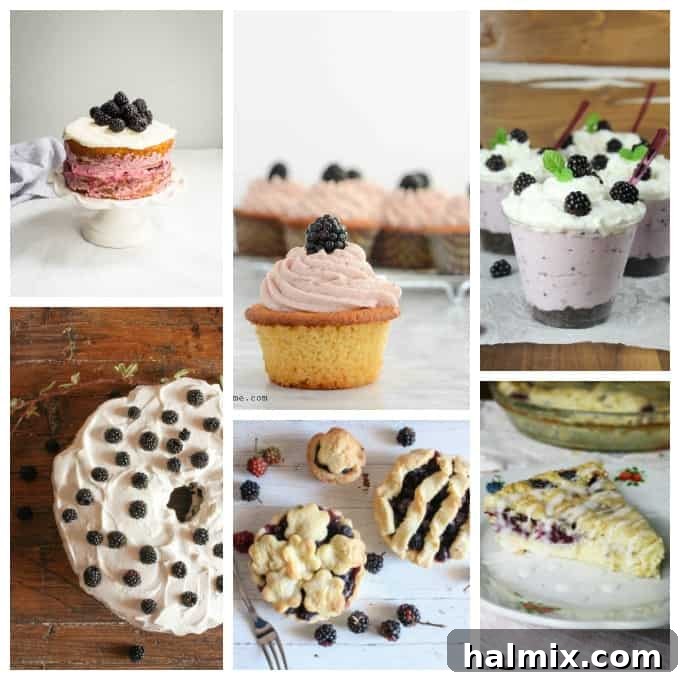 42 Scrumptious Blackberry Creations 4 Photos of blackberry recipes.