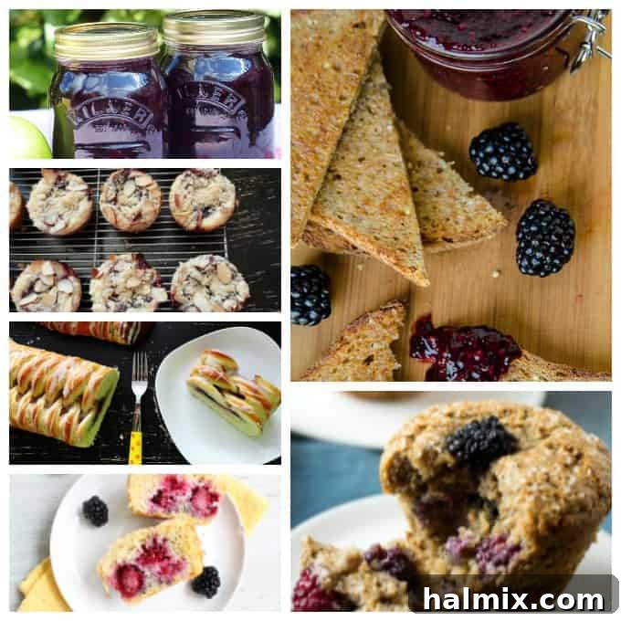 42 Scrumptious Blackberry Creations 8 Photos of blackberry recipes.