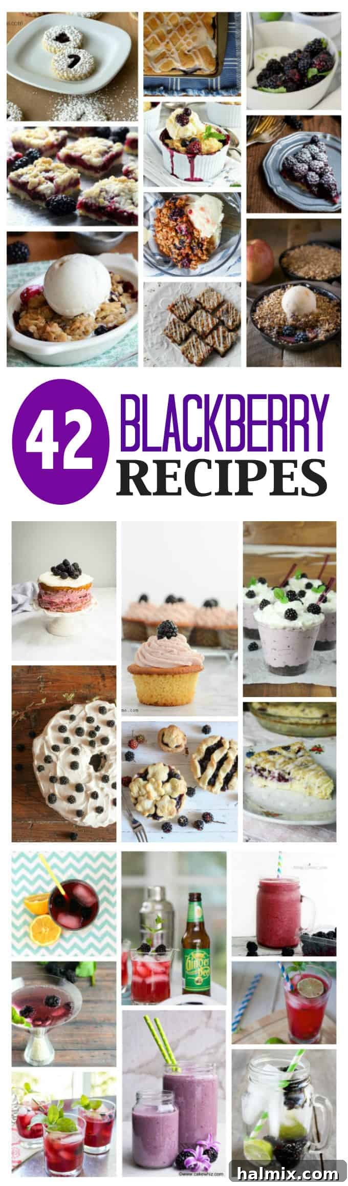 42 Scrumptious Blackberry Creations 9 Photos of blackberry recipes.
