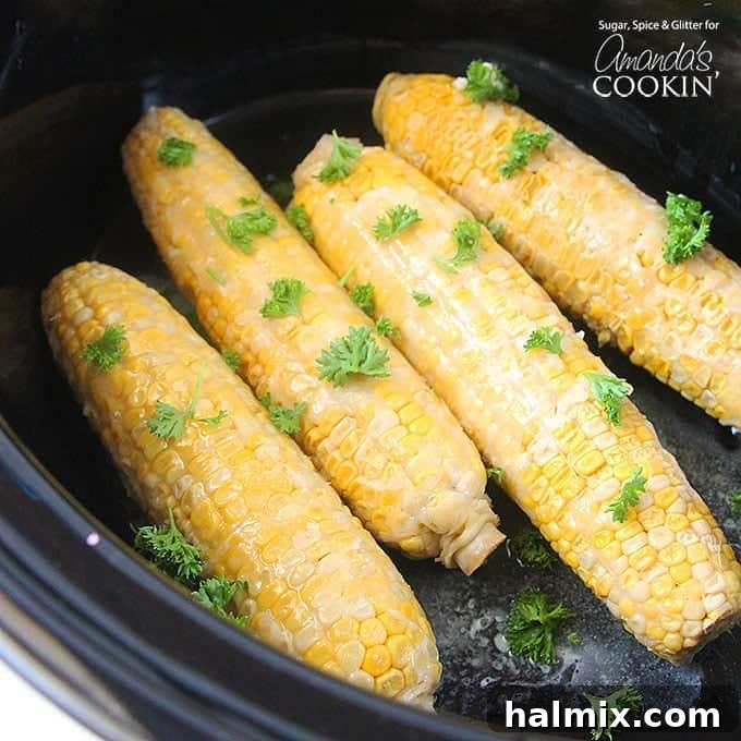 An overhead of corn on the cob in a crockpot.