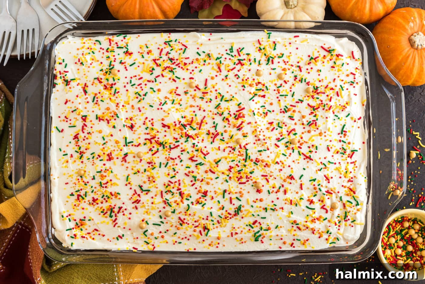 Enchanted Chocolate Pumpkin Cake 16 chocolate pumpkin magic cake decorated with fall sprinkles