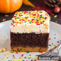 Close up photo of a piece of Chocolate Pumpkin Magic Cake