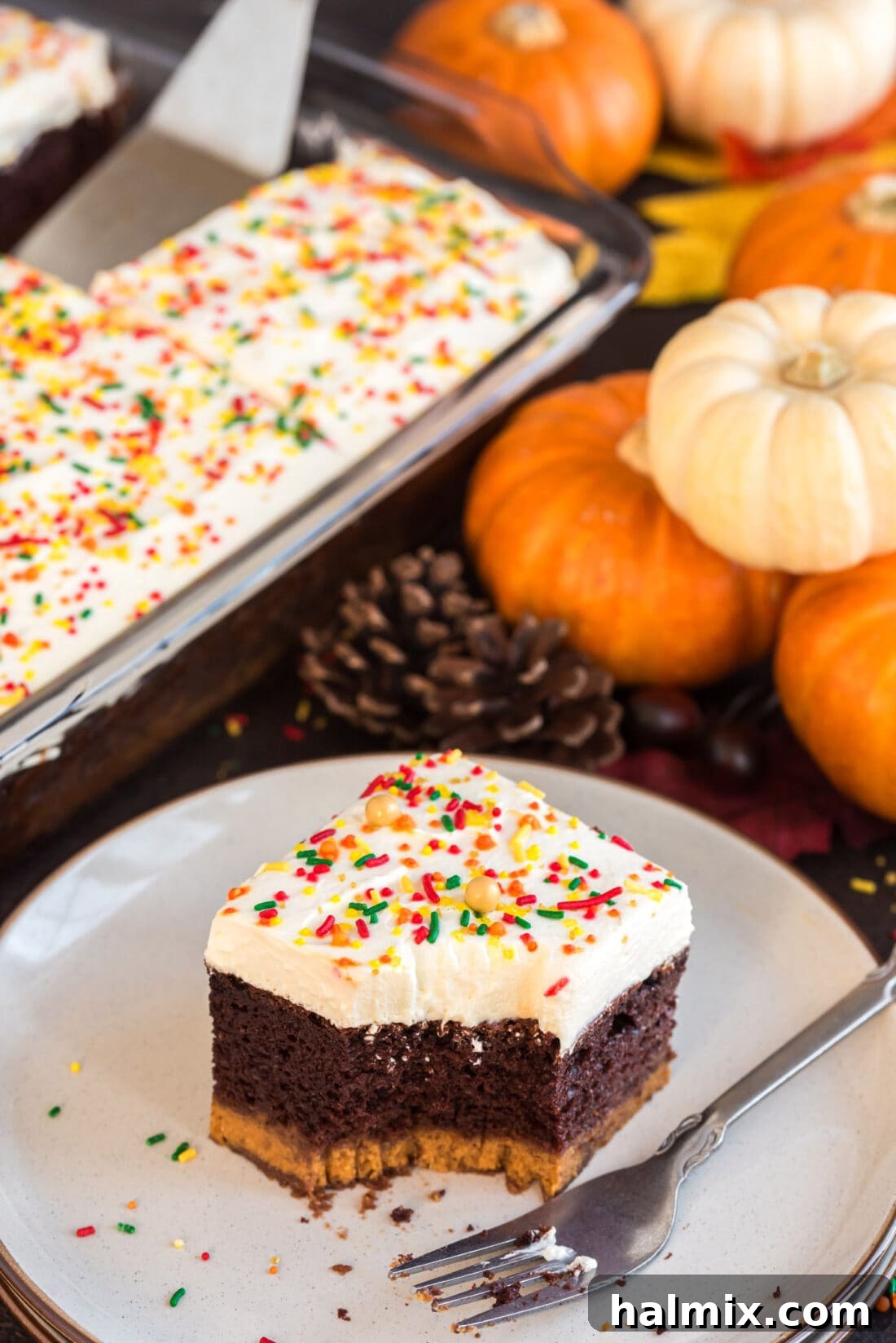 Enchanted Chocolate Pumpkin Cake 3 Piece of Chocolate Pumpkin Magic Cake on a plate with a pan of cake in the background