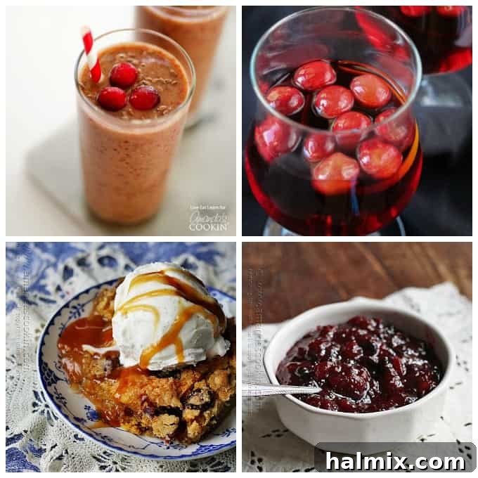 Festive Cranberry Salsa 6 Delicious cranberry recipes!