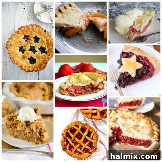 A collection of visually appealing pies, artfully arranged to highlight their golden crusts, diverse fillings, and irresistible textures.