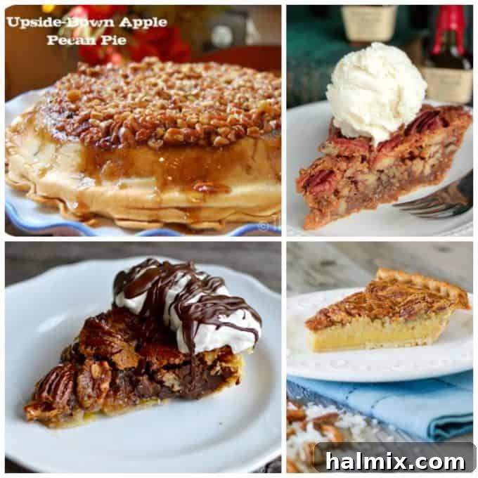 A diverse assortment of pie slices, each offering a unique visual and textual appeal, from rich pecan to creamy pumpkin and fruity fillings.