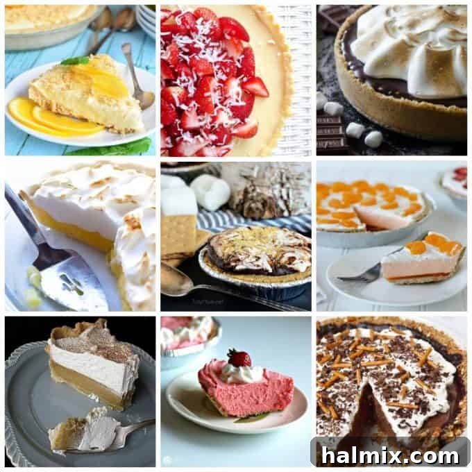 A tempting visual spread of diverse pies, from creamy and fruity to classic baked variations, each offering unique textures and appeal.