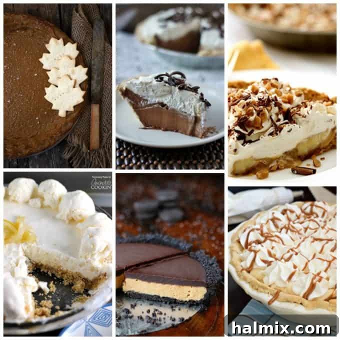 A diverse selection of pies, showcasing various crusts, fillings, and toppings, presented invitingly to highlight their delicious potential.