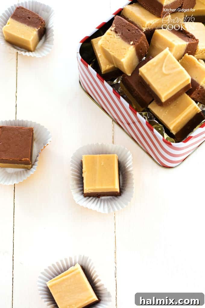 tin with chocolate peanut butter fudge