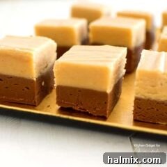 A close up of chocolate peanut butter fudge squares.