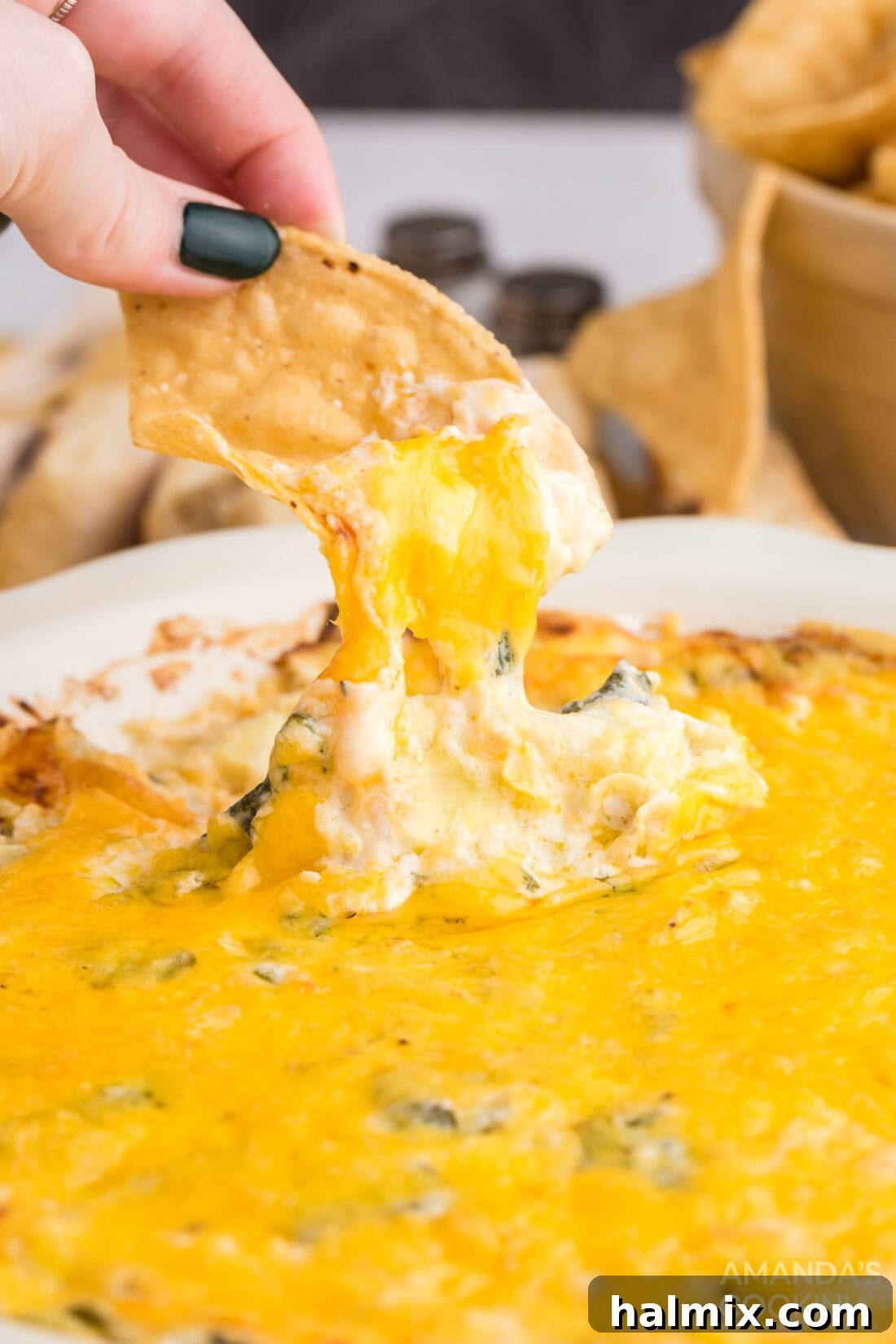 dipping chip in spinach dip