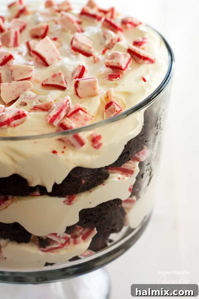 Peppermint Chocolate Layered Delight 2 A close up photo of a magnificent chocolate peppermint trifle dessert, showcasing its distinct layers of rich chocolate brownie, creamy white pudding, and vibrant red peppermint crunch.