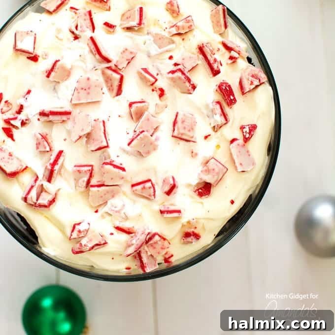 Peppermint Chocolate Layered Delight 4 An overhead shot of the chocolate peppermint trifle, featuring its neatly arranged layers and a sprinkle of crushed peppermint candy on top.