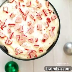 An overhead photo of a chocolate peppermint trifle.