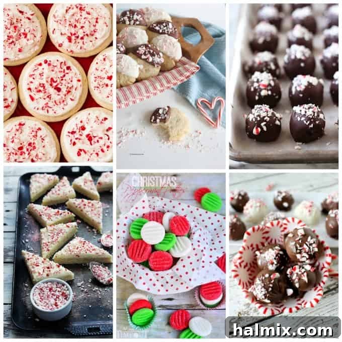 An array of peppermint and candy cane cookies and truffles displayed festively.