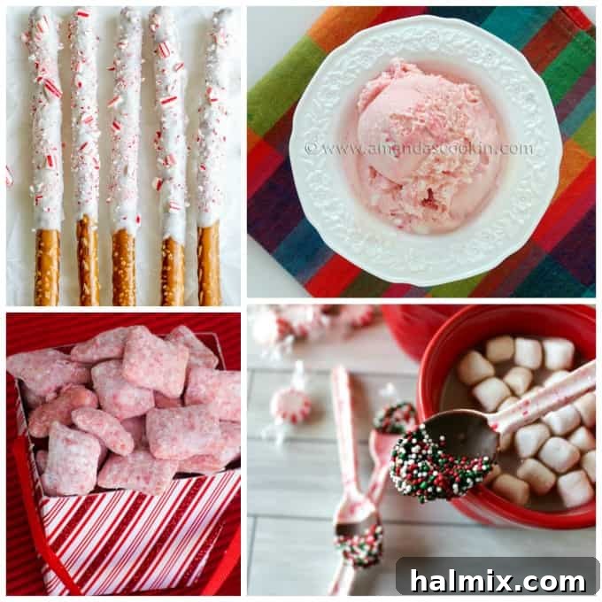 A creative selection of miscellaneous peppermint and candy cane treats and gifts.