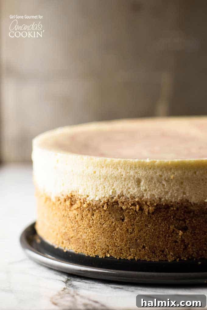 Velvet Strawberry Swirl Cheesecake 2 A close up side shot of an entire strawberry swirl cheesecake sitting on a black plate, showcasing its height and beautiful red swirl.
