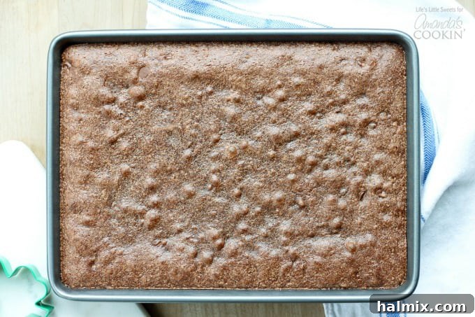 A close-up of fudgy and decadent chocolate brownies with a shamrock shape, glistening and inviting