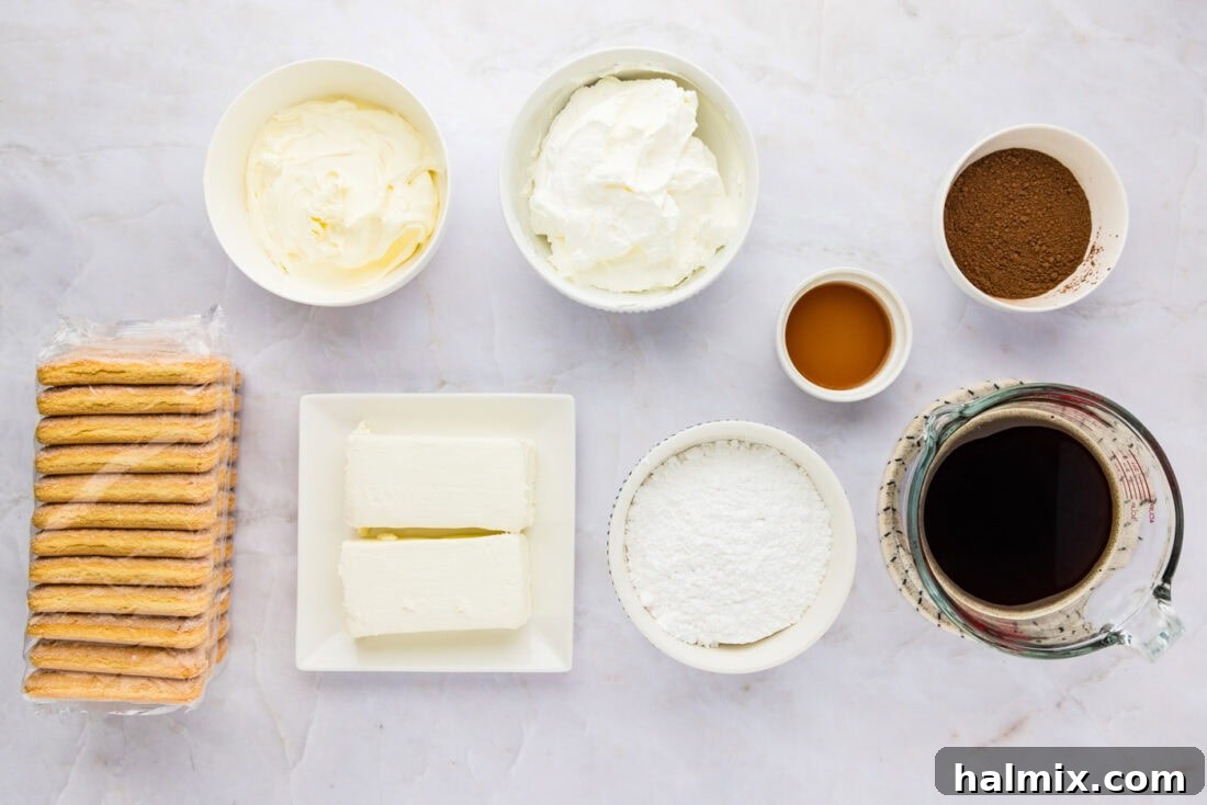 A clear flat lay image displaying all the necessary ingredients for Tiramisu Icebox Cake, including packages of ladyfingers, cream cheese, mascarpone, espresso powder, sugar, and cocoa.