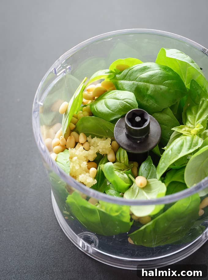 Compact Mini Food Processor with Ingredients