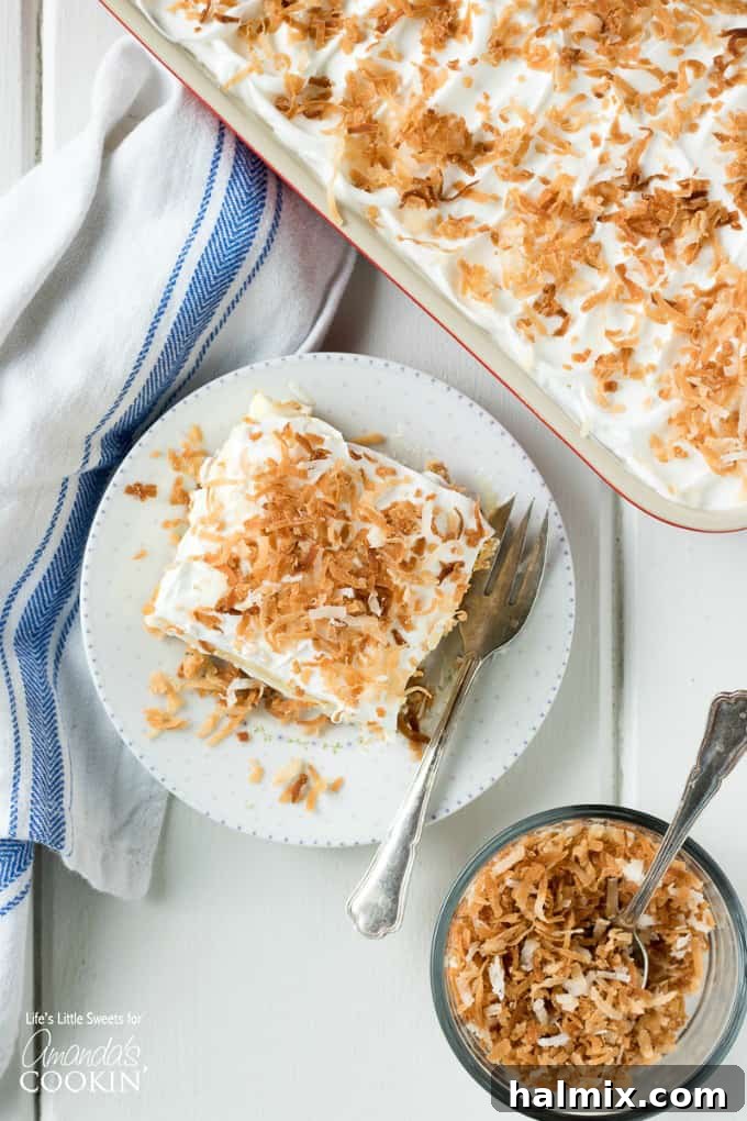 An inviting overhead shot of the entire Coconut Cream Lush, showcasing its pristine white whipped topping and generous sprinkle of golden toasted coconut flakes.