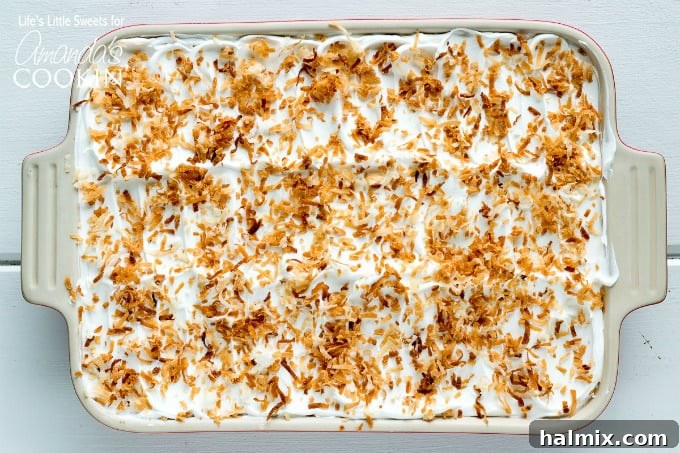 A stunning side-view of Coconut Cream Lush, showcasing the perfectly defined layers of crust, cream cheese, pudding, and whipped topping, garnished with toasted coconut.
