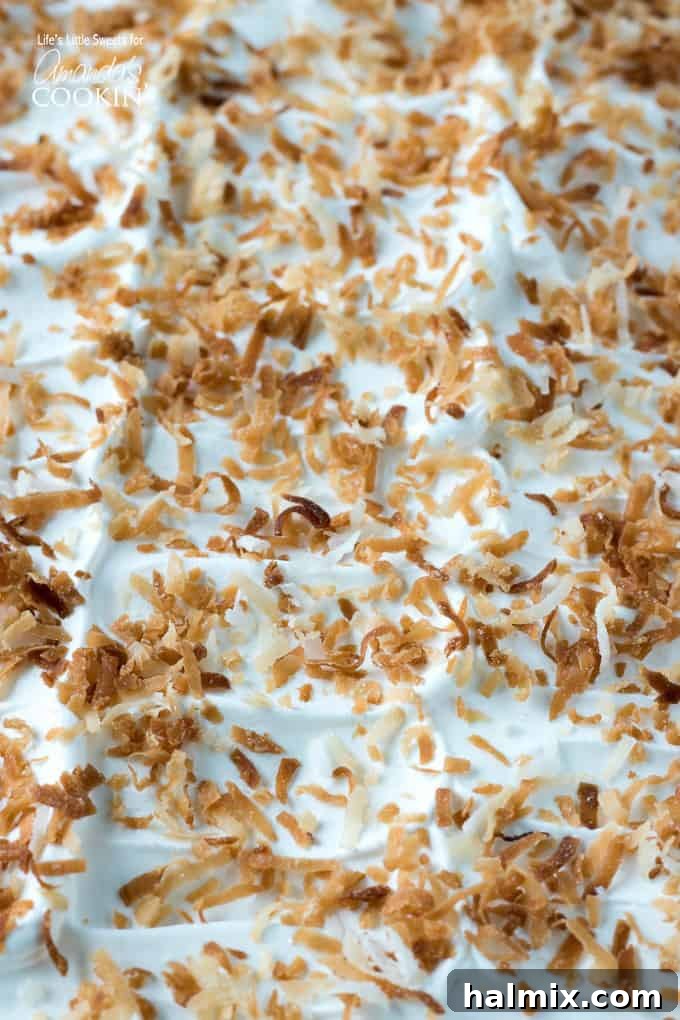 A close-up view of the whipped topping of Coconut Cream Lush, generously adorned with perfectly toasted, golden-brown coconut shavings, highlighting the delightful crunch.