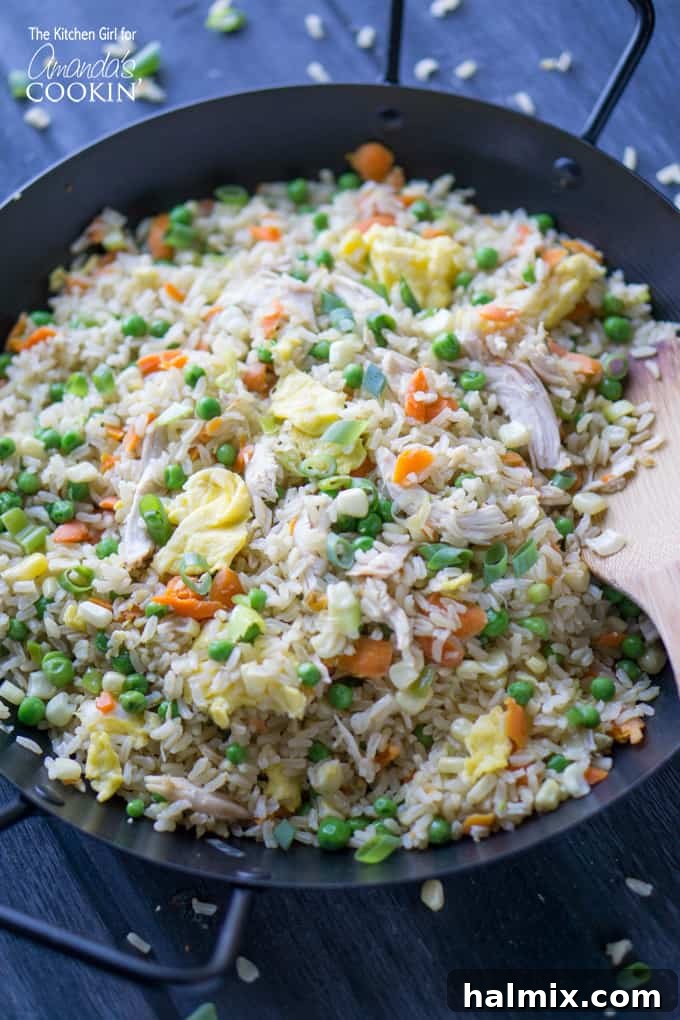 spoonful of chicken fried rice