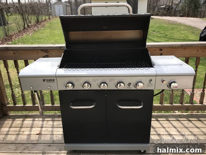 Enjoy your perfectly clean and ready-to-use gas grill!