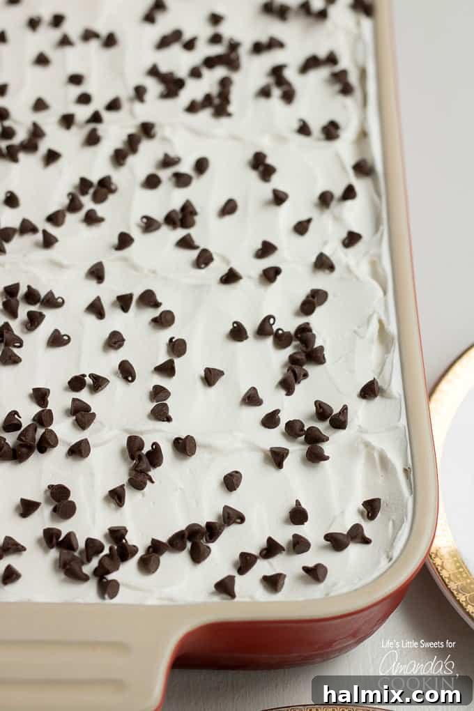 Mocha Lush dessert topped with mini chocolate chips