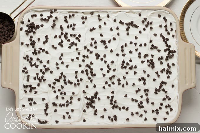 Mocha lush dessert in a 9x13 inch baking dish