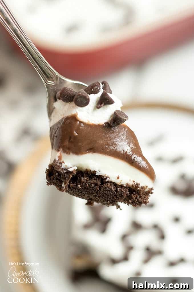 Close up of a spoonful of chocolate mocha dessert