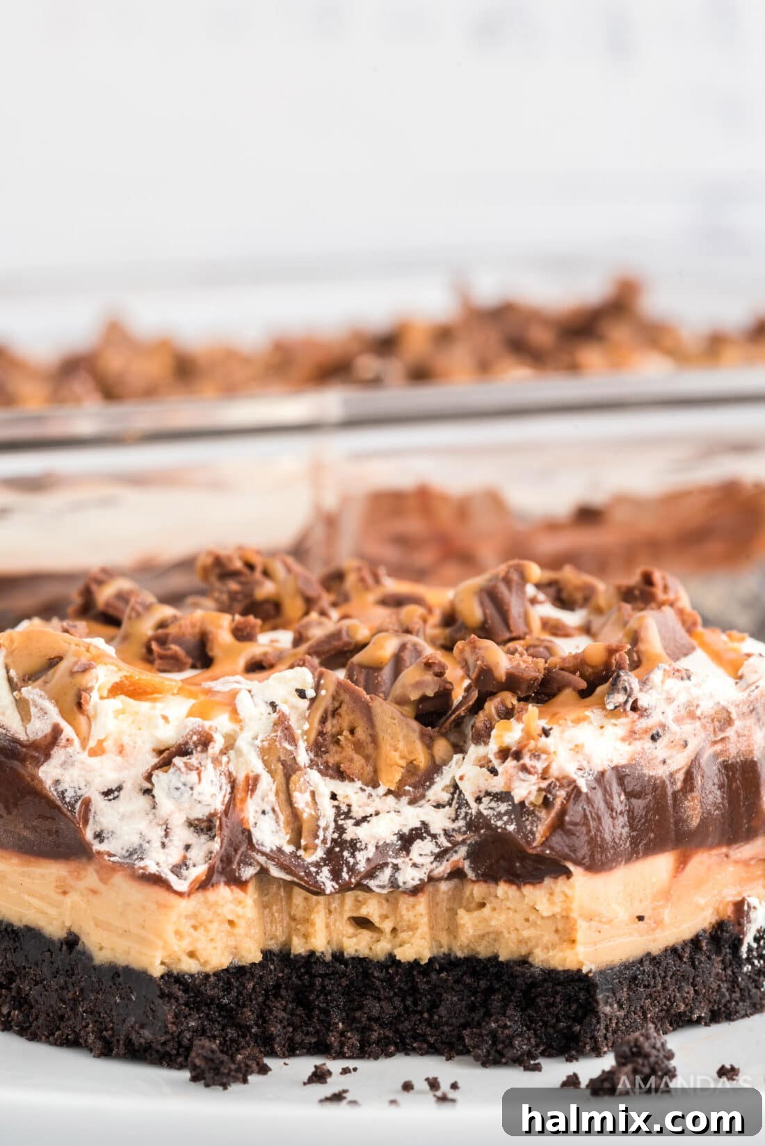 Chocolate Peanut Butter Lasagna with a bite removed