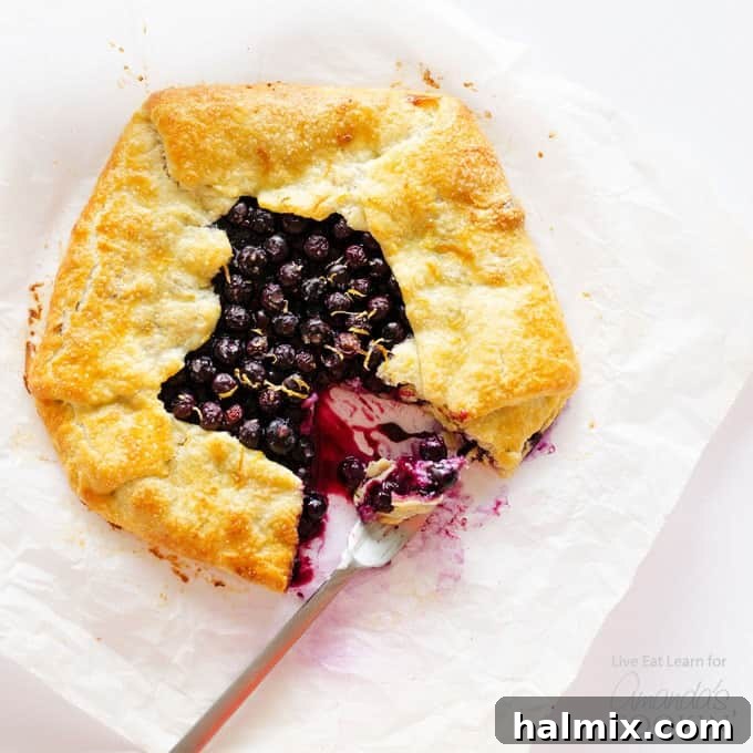 Rustic blueberry galette on parchment paper, ready to bake