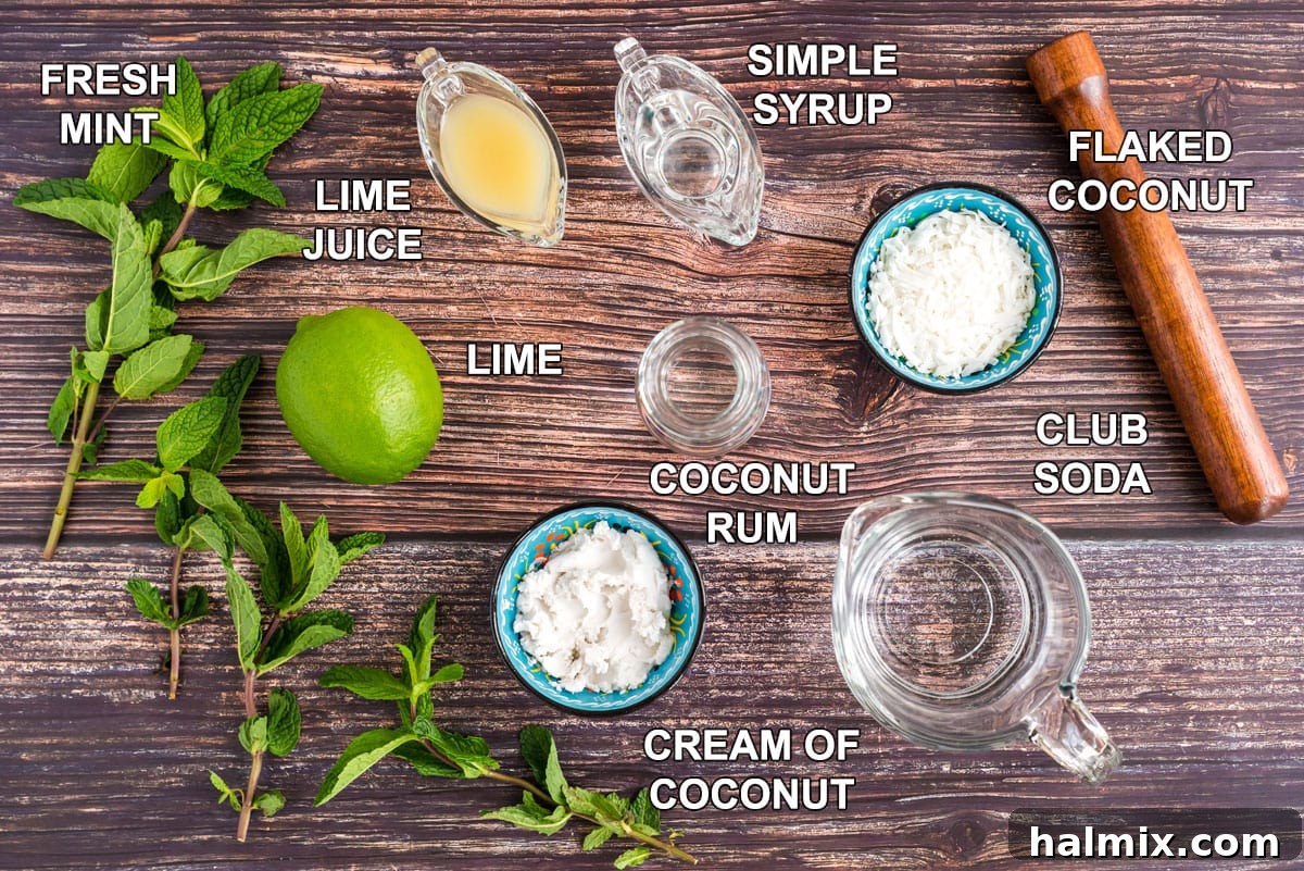 Neatly arranged labeled ingredients for making a refreshing Coconut Mojito cocktail.