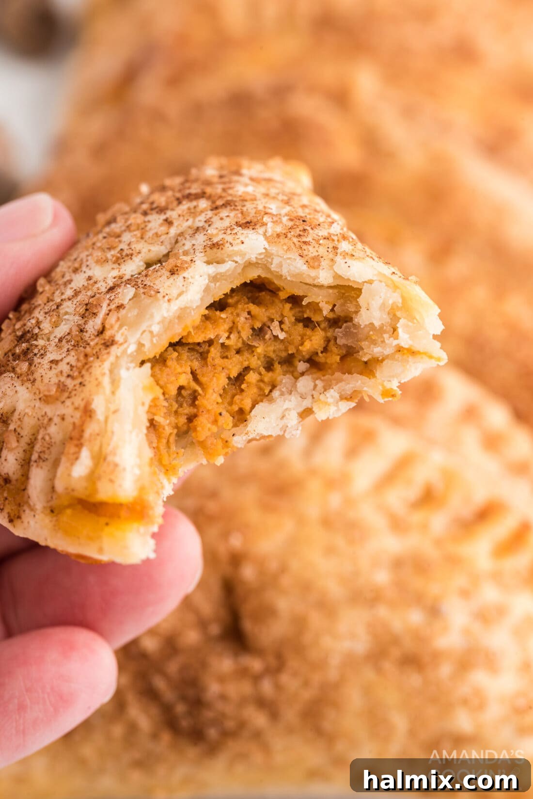 Pumpkin Hand Pie with a bite out of it