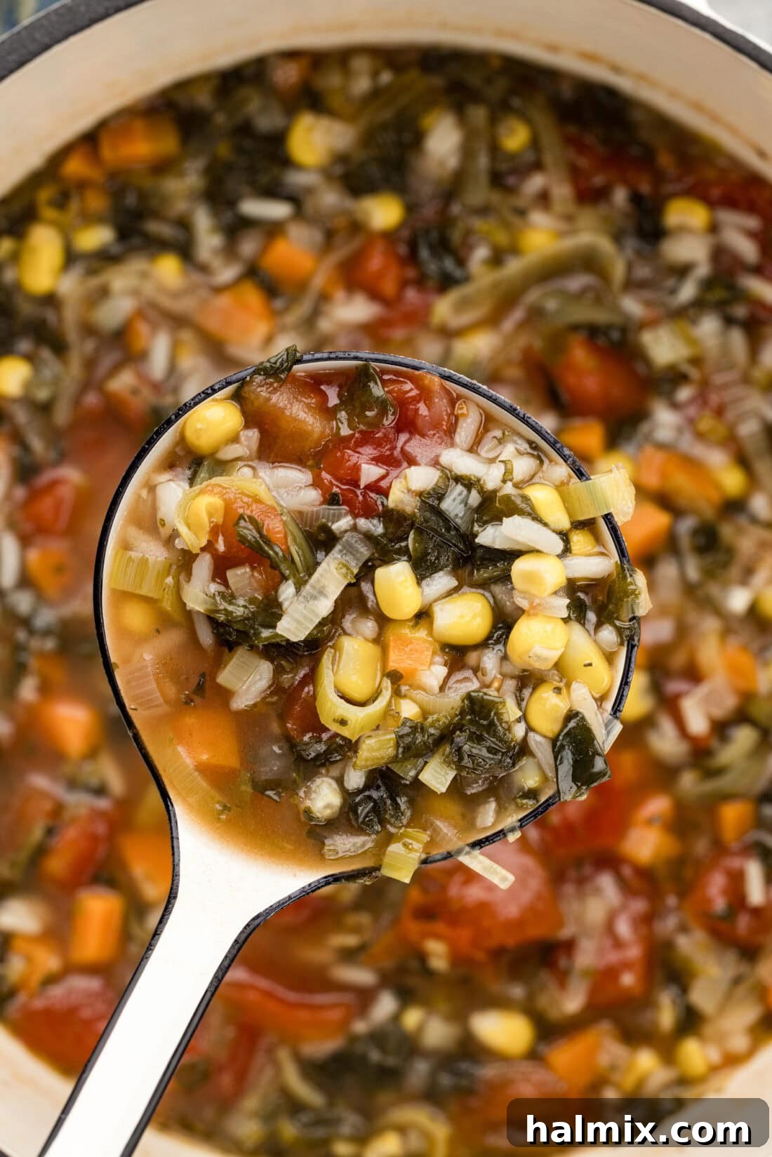 Garden Harvest Rice Soup 3 Ladle of Vegetable Rice Soup held over a pot of Vegetable Rice Soup, showcasing the fresh vegetables