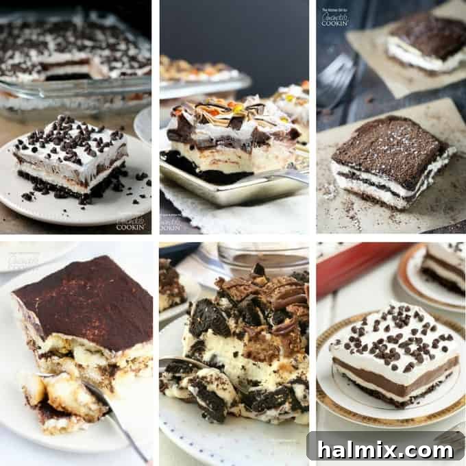 A delicious array of chocolate one-pan desserts, featuring rich textures and decadent flavors, perfect for satisfying any sweet tooth.