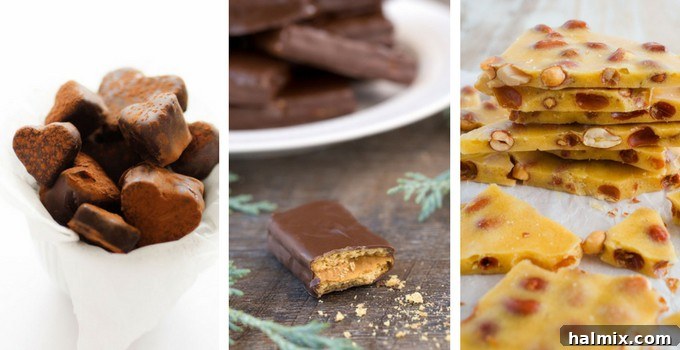 A close-up image of a variety of homemade candy bars, showcasing different toppings and textures, emphasizing their easy preparation.