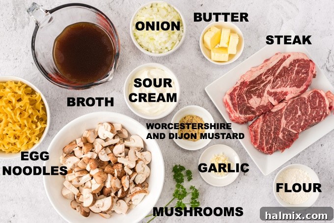 Fresh ingredients for making beef stroganoff, including steak, mushrooms, onions, and sour cream.