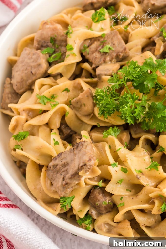 A bowl of hot beef stroganoff served with egg noodles, ready to eat.