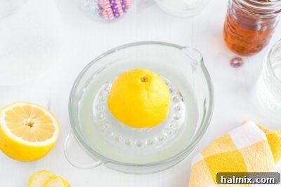 Lynchburg's Golden Refreshment 13 Juicing a lemon on citrus juicer, the first step in making Lynchburg Lemonade.