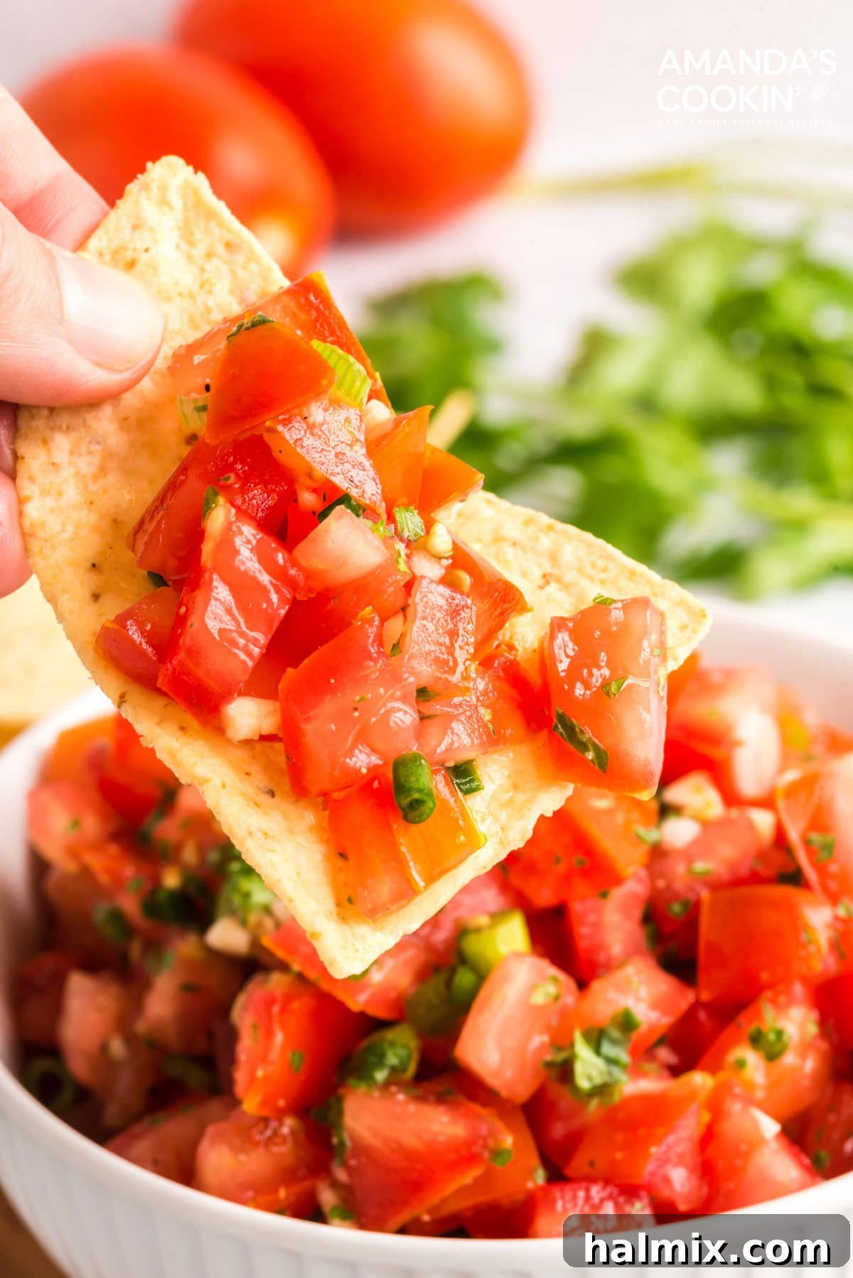 Hand lifting a tortilla chip topped with vibrant Salsa Fresca, showcasing its fresh ingredients and inviting texture.