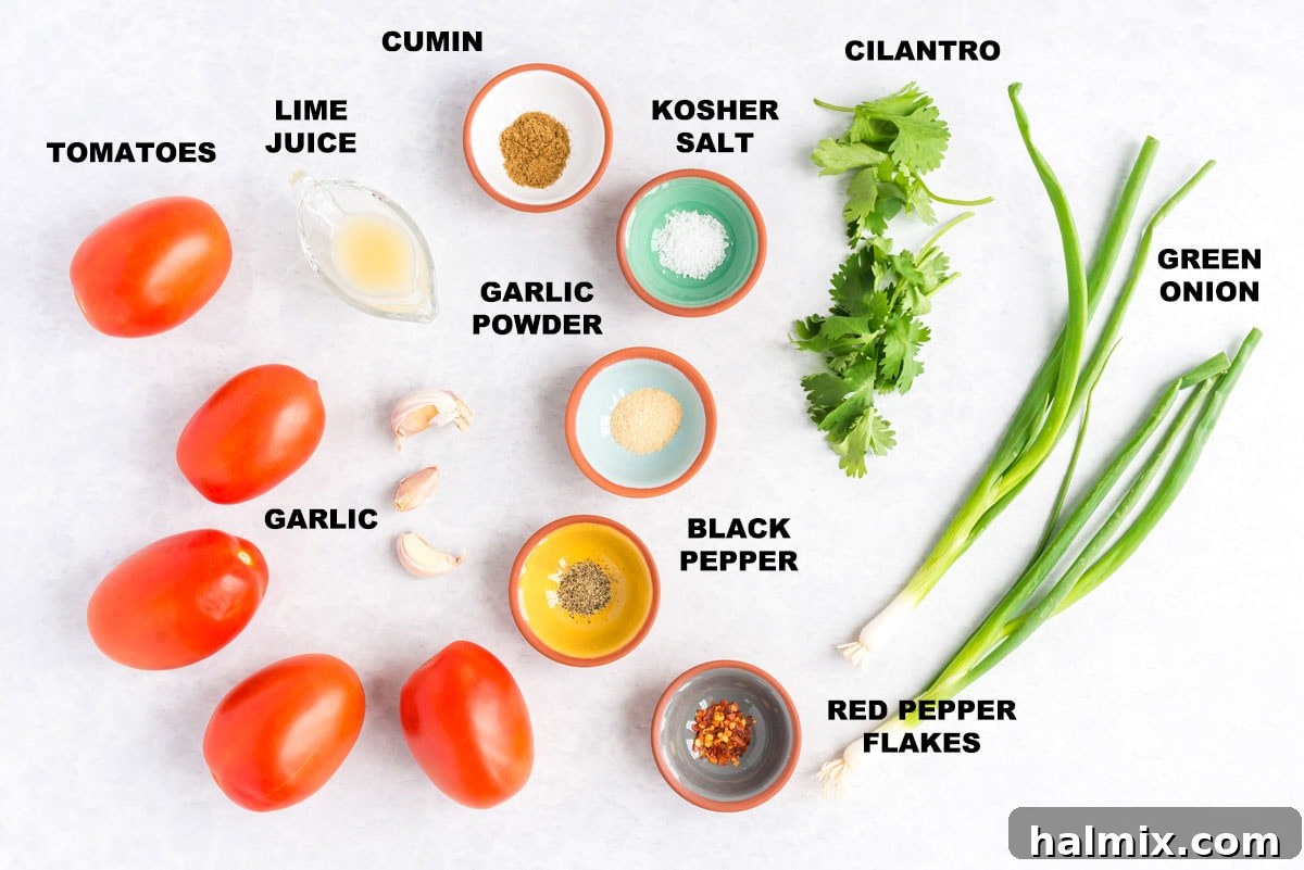 Labeled fresh ingredients for making homemade Salsa Fresca, including tomatoes, scallions, cilantro, and spices, laid out neatly.