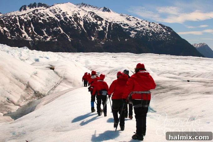 Decadent Espresso Brûlée 10 Mendehall Glacier Helicopter Tour