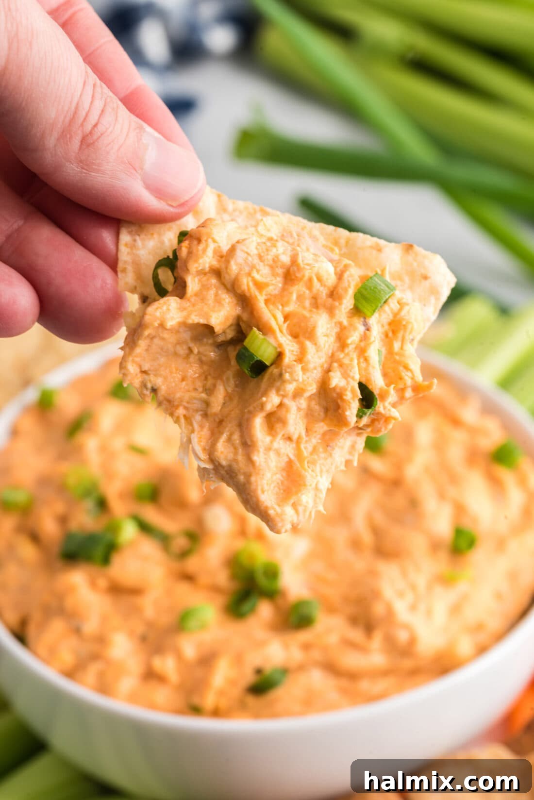 Ultimate Buffalo Chicken Dip 3 Buffalo Chicken Dip on a tortilla chip, showcasing its creamy texture