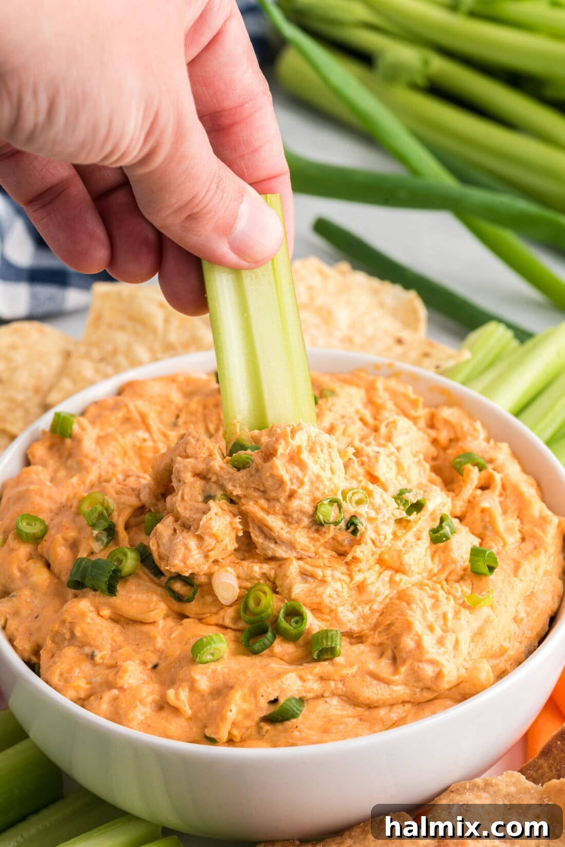 Ultimate Buffalo Chicken Dip 9 Celery stick being dipped into a bowl of Buffalo Chicken Dip
