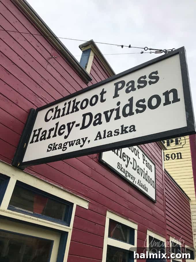 Unforgettable Davidson Glacier Canoe Expedition 5 harley davidson shop sign skagway alaska